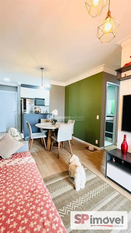 Apartamento à venda, Vila Curuçá, Santo André, SP