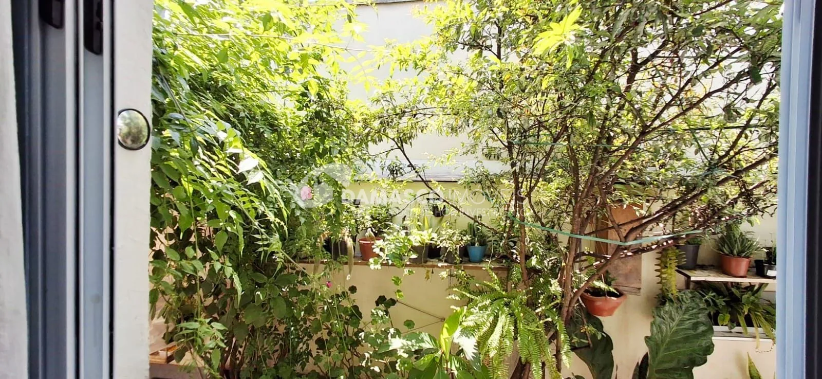 Casa à venda, Barcelona, São Caetano do Sul, SP