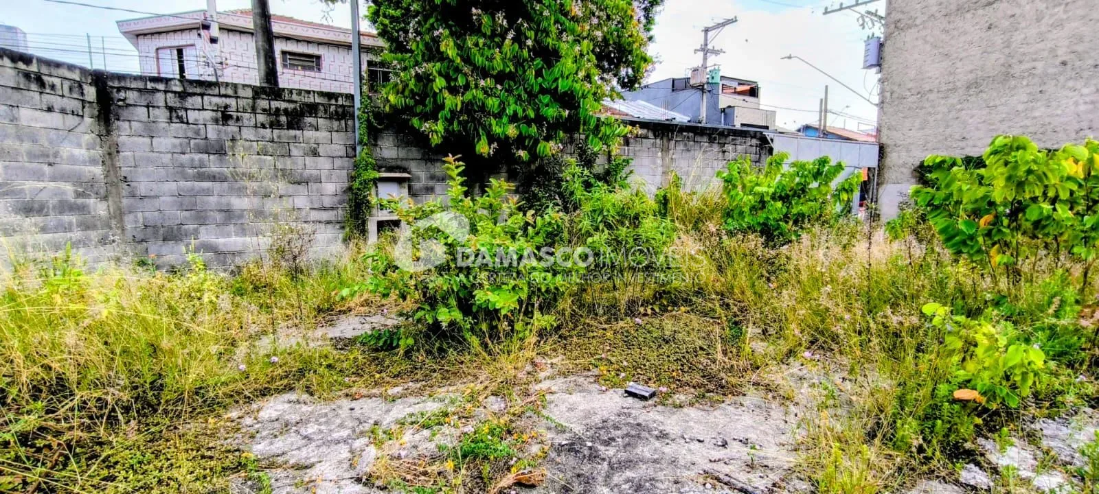 Terreno - Industrial Plano à venda  440 m² Centro, São Caetano do Sul - SP