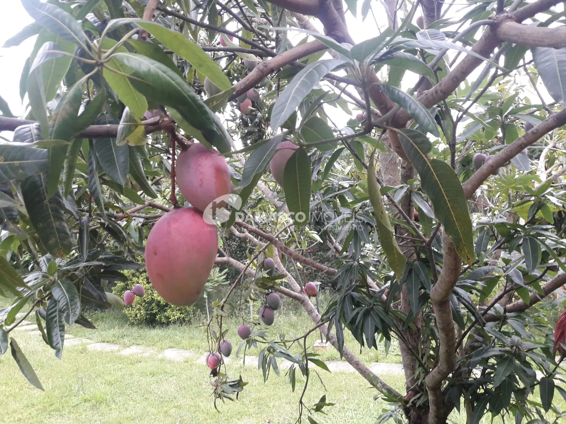 Chácara à venda, Chácara dos Pinhais, Boituva, SP