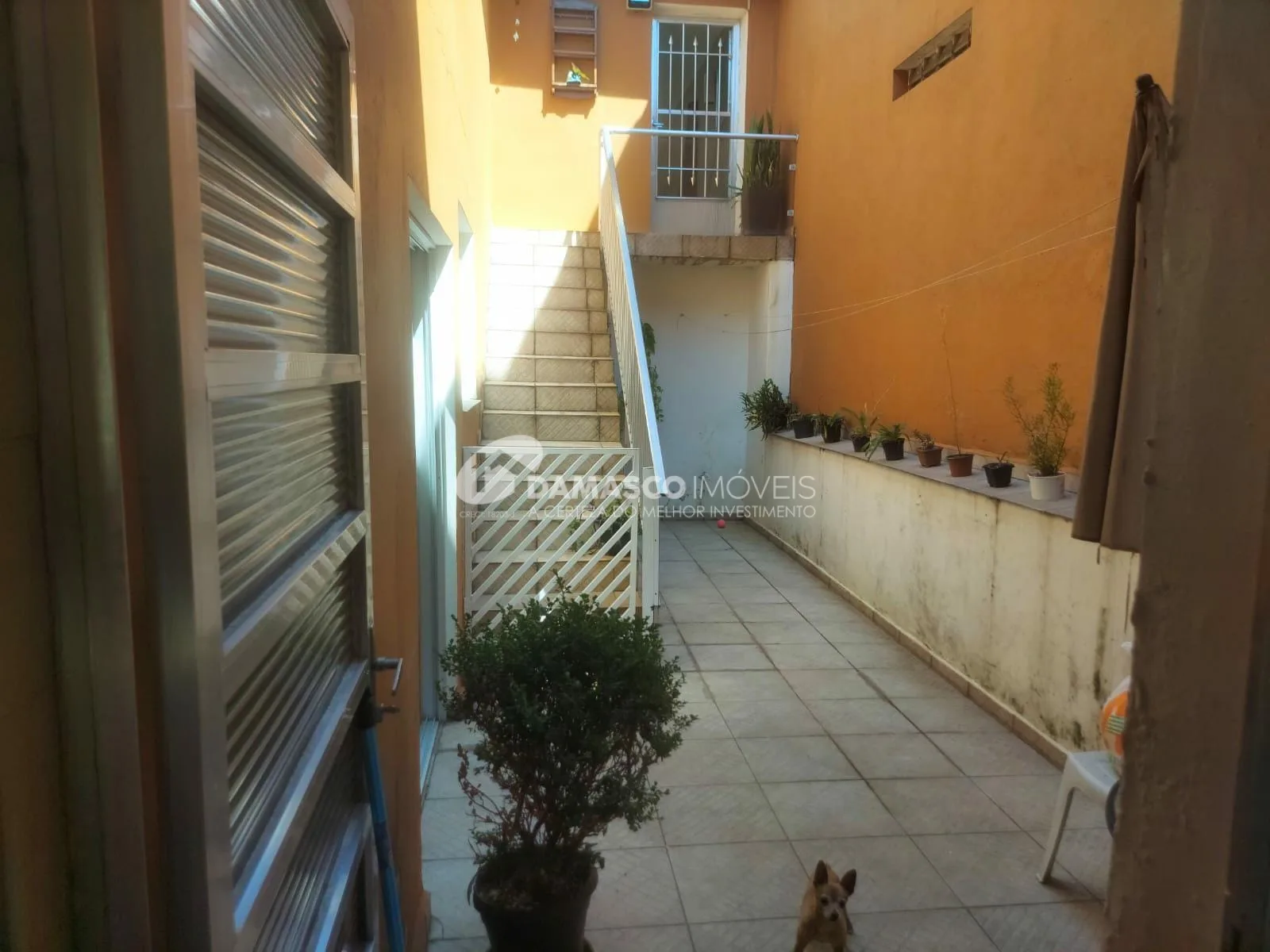 Casa à venda 3 Quartos, 4 Vagas, 136M², Olímpico, São Caetano do Sul - SP