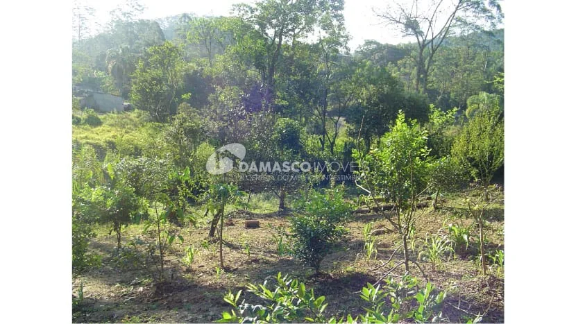 Chácara à venda 3 Quartos, 1 Suíte, 10 Vagas, Quarta Divisão, Ribeirão Pires - SP