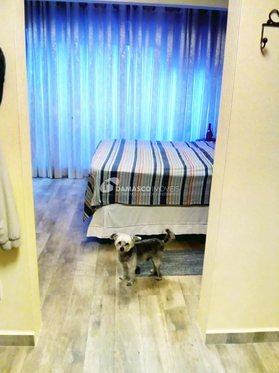 Sobrado à venda 3 Quartos, 3 Suites, 6 Vagas, 390M², Santa Maria, São Caetano do Sul - SP