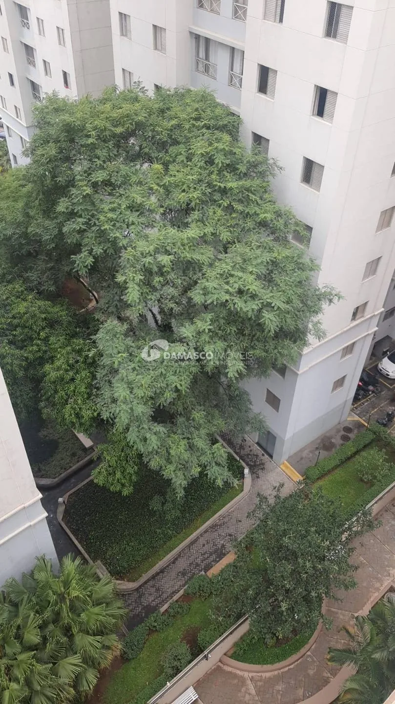 Apartamento padrão à Venda, Fundação, São Caetano do Sul, SP